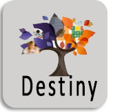 Link to Destiny